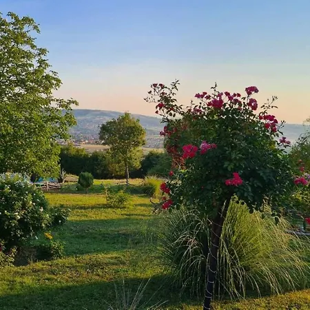 Etno Kompleks Orahovac Lodge *
